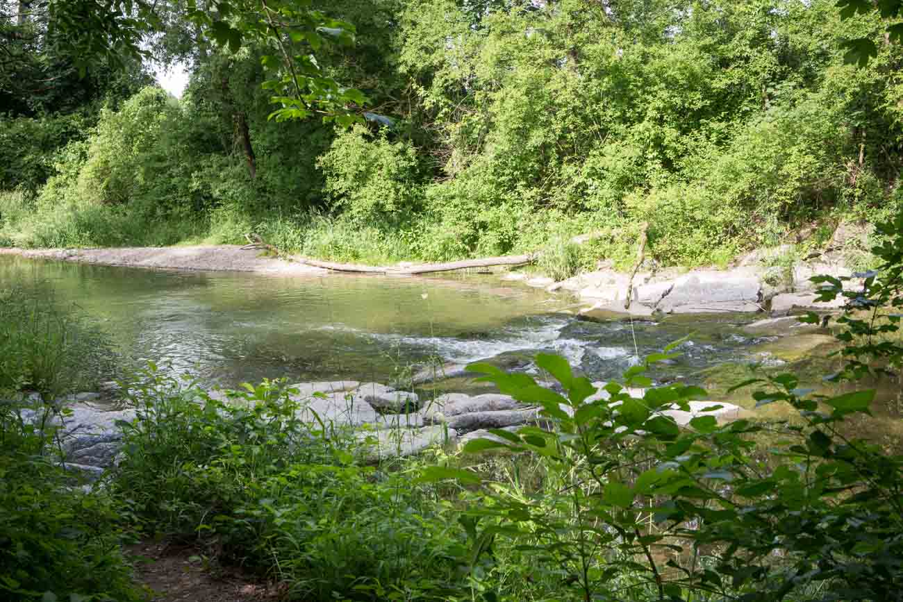 &Ouml;ffentlicher Naturspielplatz beim Teich in Bodensdorf bei Wieselburg