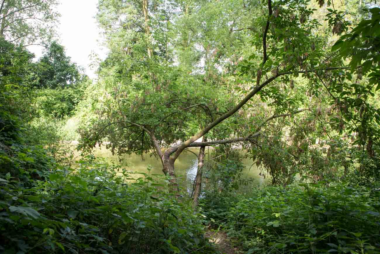 &Ouml;ffentlicher Naturspielplatz beim Teich in Bodensdorf bei Wieselburg
