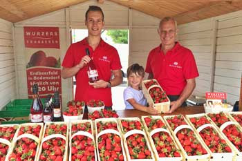 Wurzers Erdbeeren Verkaufsstand beim Forstinger in Wieselburg
