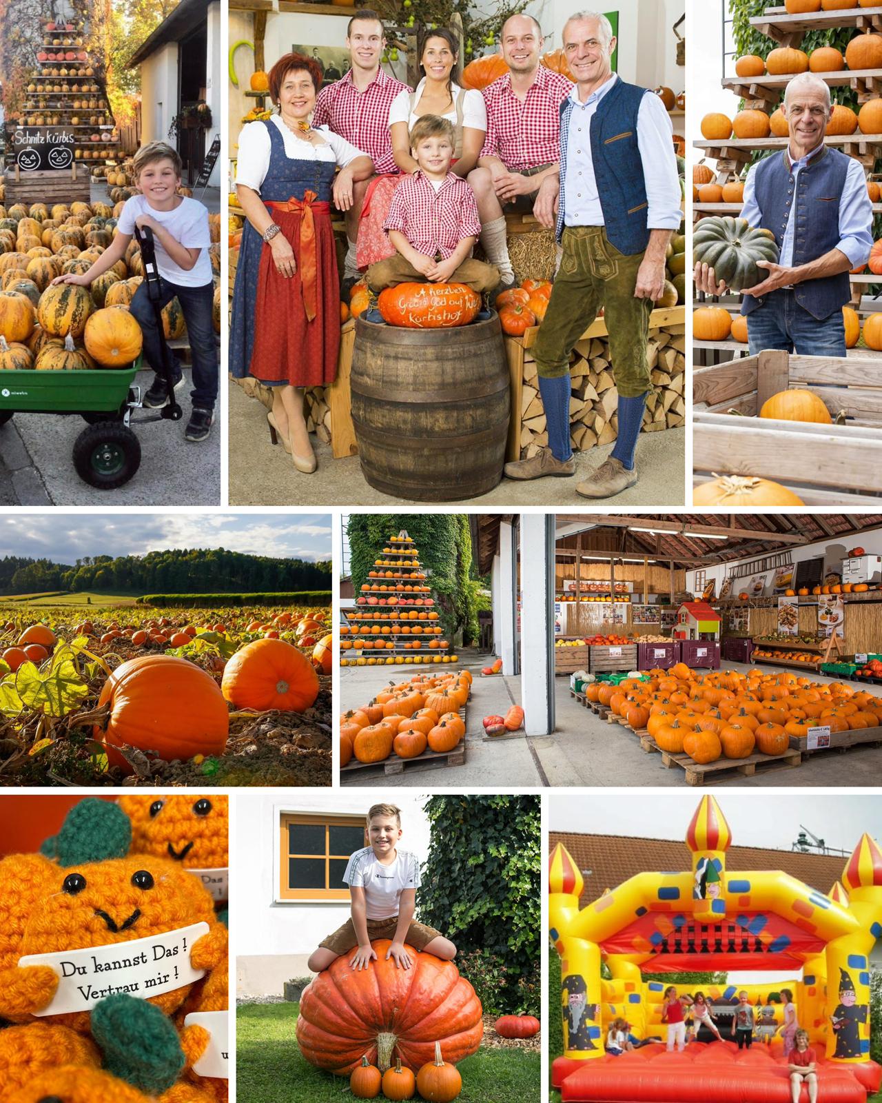 Wurzers Kürbishof in Bodensdorf bei Wieselburg im Mostviertel in Niederösterreich