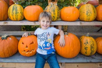 Wurzers K&uuml;rbishof Bodensdorf Wieselburg Mostviertel Nieder&ouml;sterreich