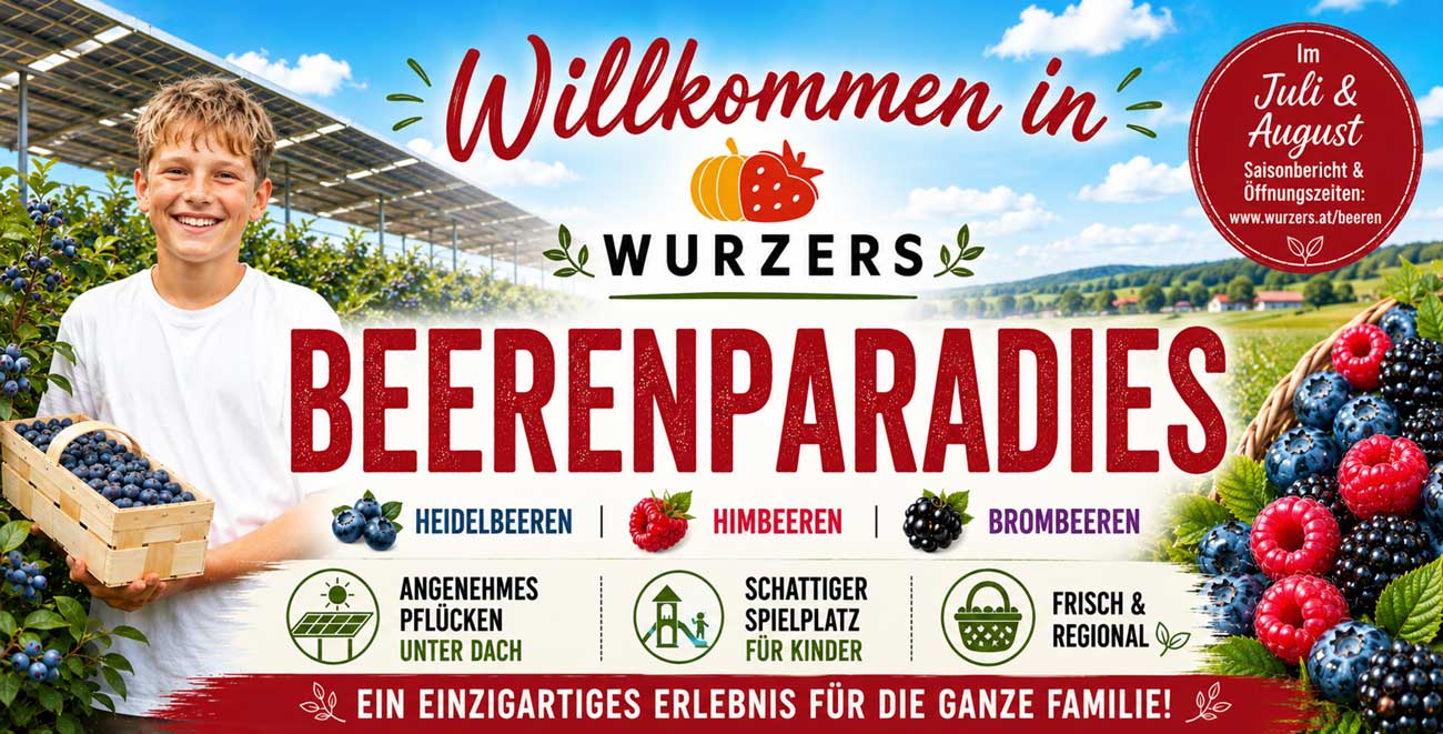 Wurzers Beerenparadies mit Heidelbeeren, Himbeeren und Brombeeren zum Selberpfl&uuml;cken und gepfl&uuml;ckt in Bodensdorf bei Wieselburg in Nieder&ouml;sterreich