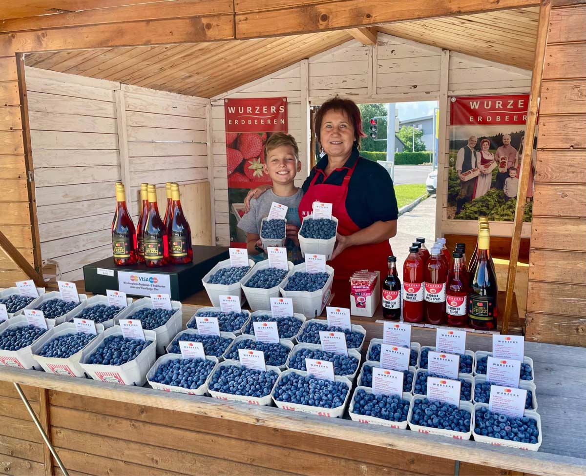 Wurzers Erdbeeren in Bodensdorf bei Wieselburg