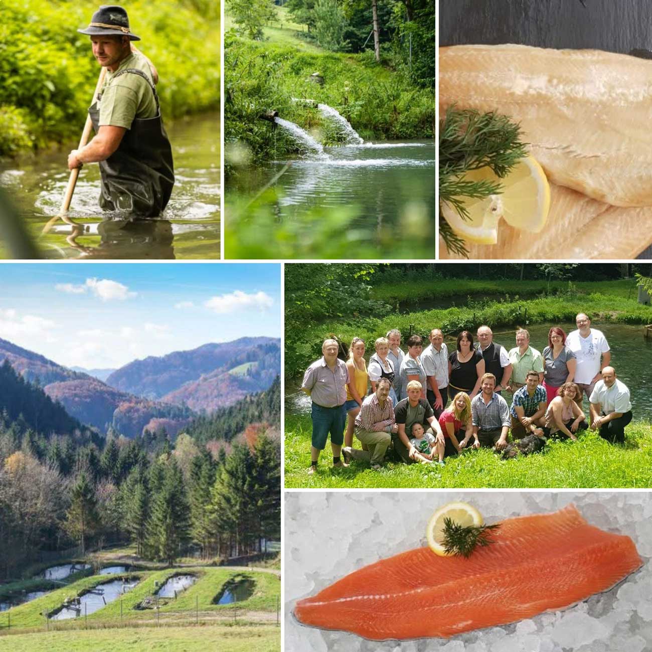 Frische regionale Fische von Neubruck Fisch in Wurzers Hofladen in Bodensdorf bei Wieselburg