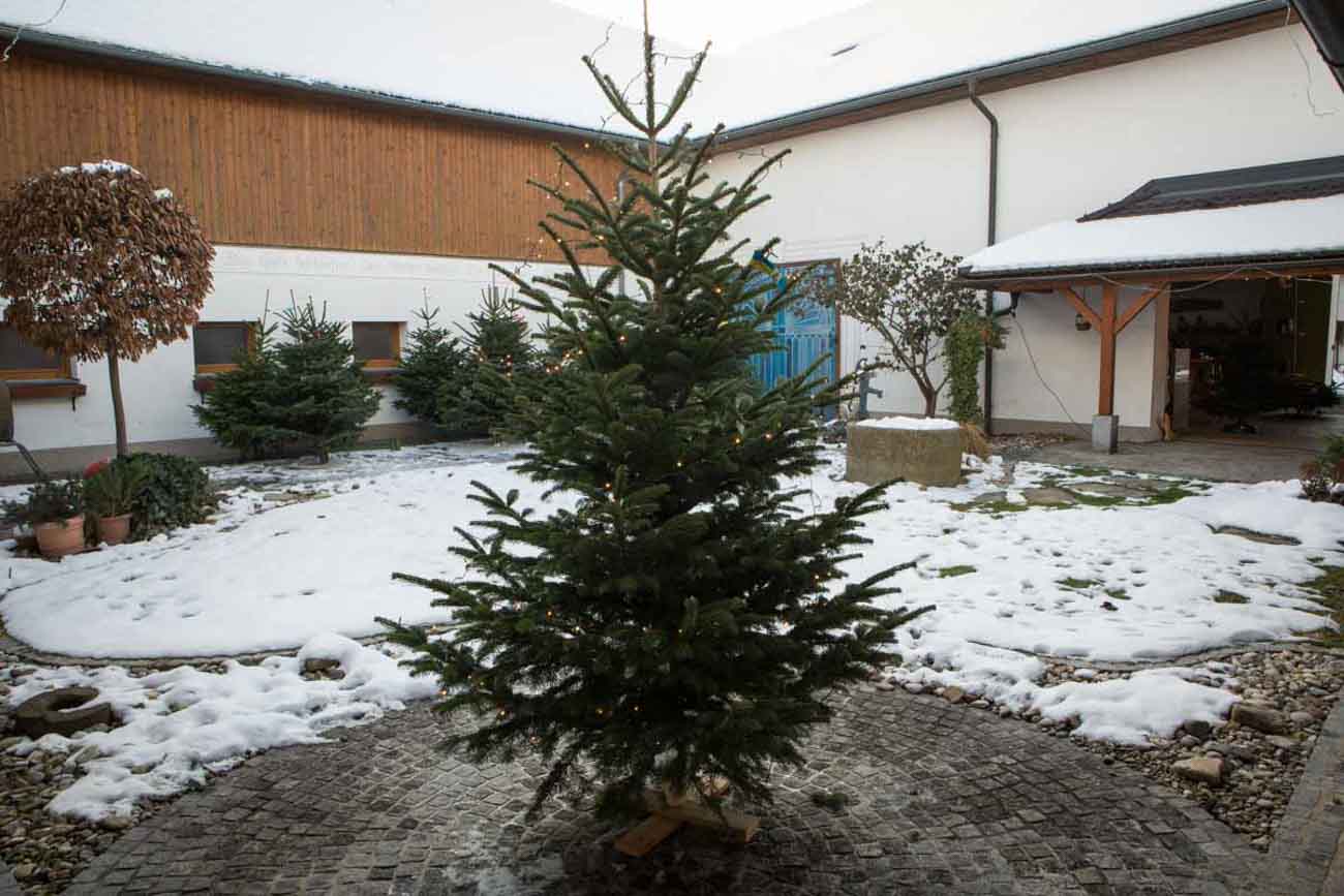 Wurzers Weihnachtsmarkt am Hof in Bodensdorf bei Wieselburg