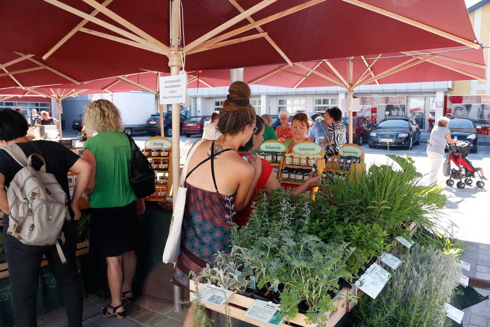 Wieselburger Bauernmarkt ist eröffnet
