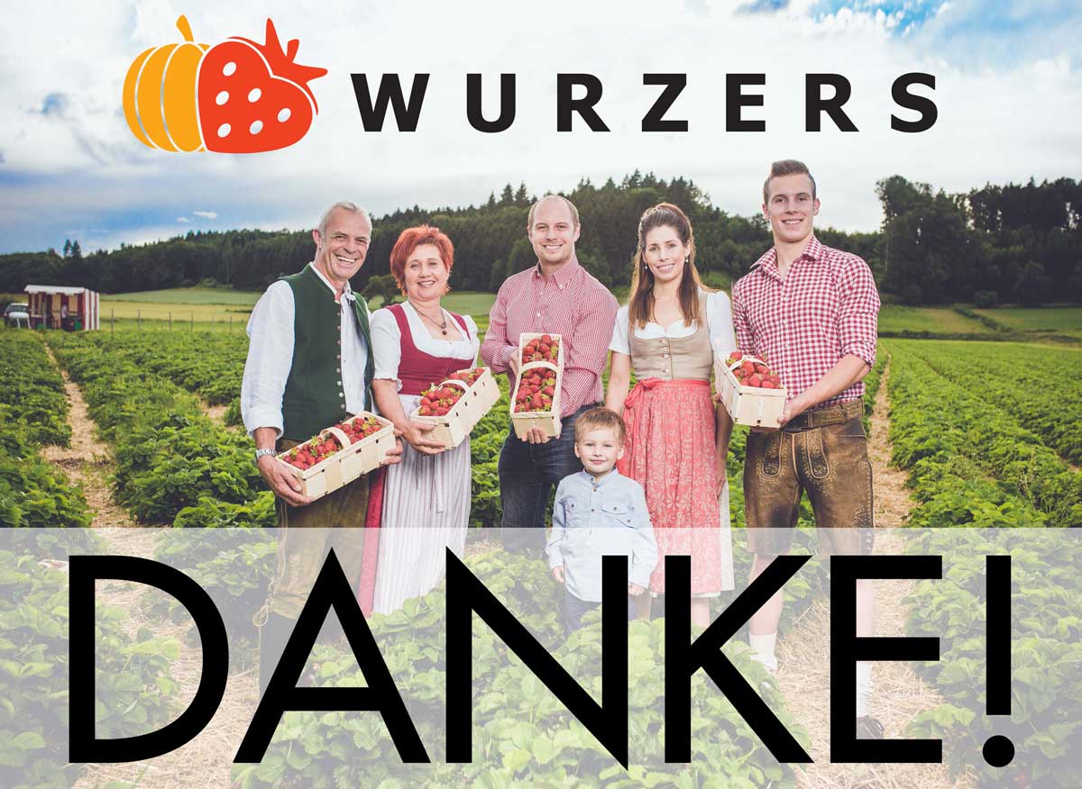 Wurzers Erdbeeren Erdbeerfeld Selberpflücken Bodensdorf Wieselburg Mostviertel