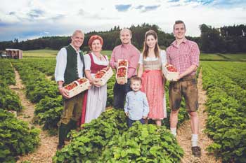 Wurzers Erdbeeren in Bodensdorf bei Wieselburg