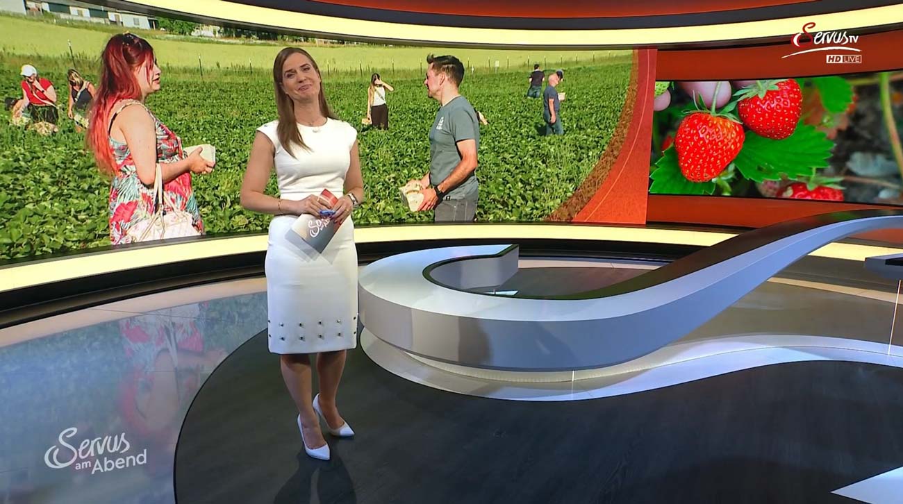 ServusTV Bericht vom 2. Erdbeer-Singlepfl&uuml;cken in Bodensdorf bei Wieselburg