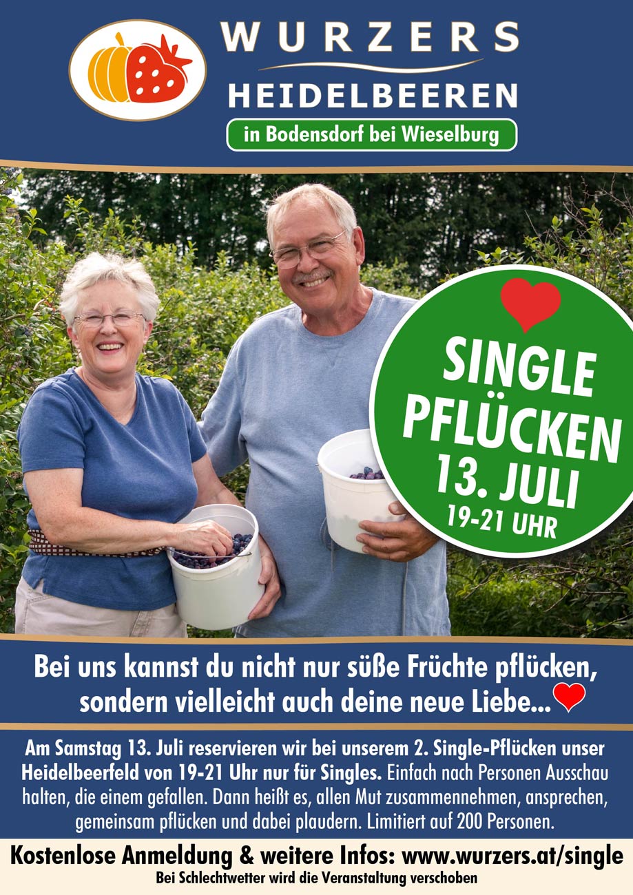 2. Singlepflücken auf Wurzers Heidelbeerfeld in Bodensdorf bei Wieselburg