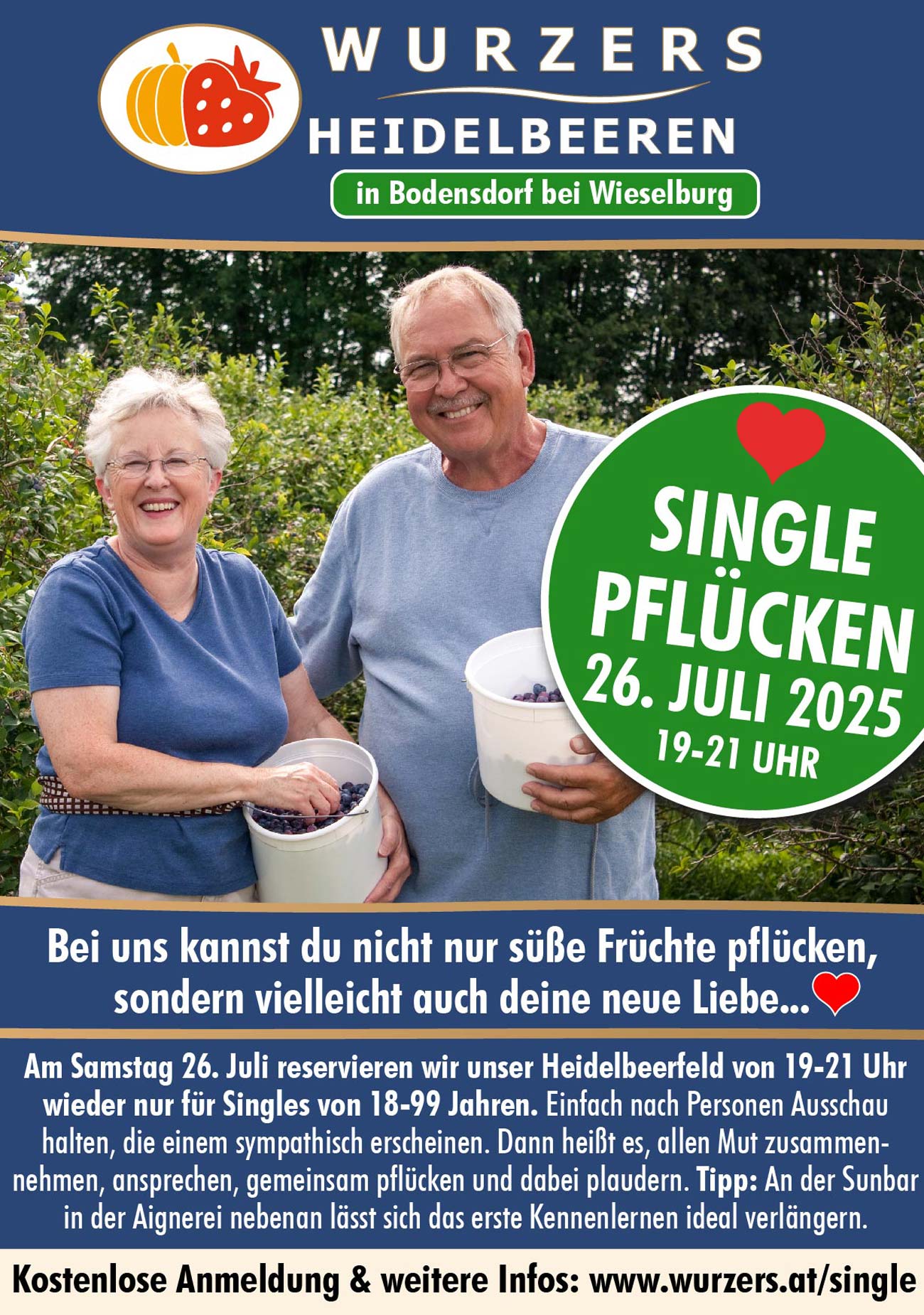 Heidelbeer-Singlepflücken auf Wurzers Heidelbeerfeld in Bodensdorf bei Wieselburg in Niederösterreich