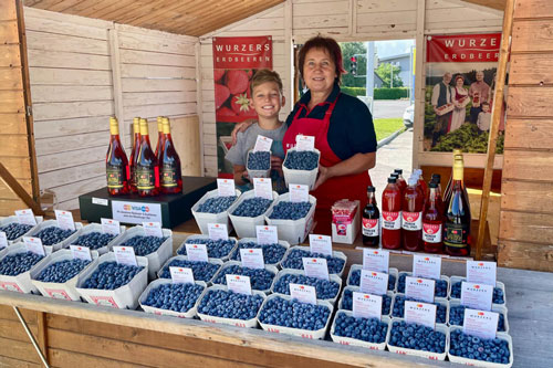 Wurzers Erdbeeren Bodensdorf Wieselburg Mostviertel Niederösterreich